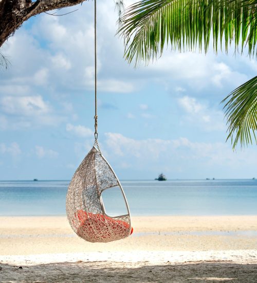 pexels-photo-3355788-3355788-1 A peaceful scene with a hanging swing chair on a tropical beach, perfect for relaxation.